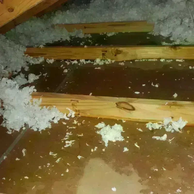 Attic Water Damage in Danville, IL