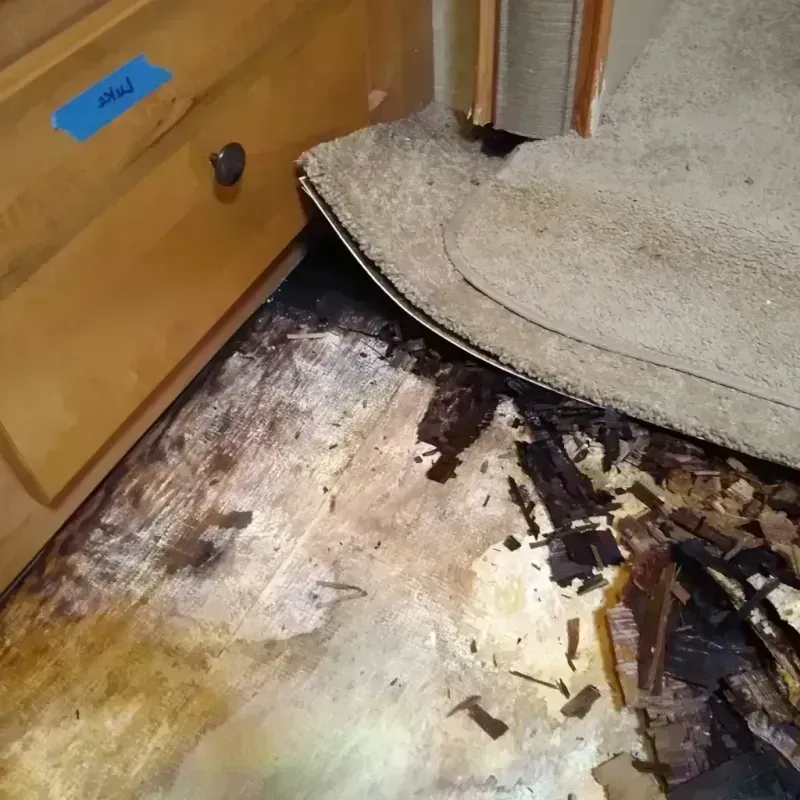 Best Wood Floor Water Damage Service in Danville, IL